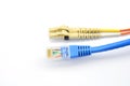 Close up of a fiber optic patchcord head and UTP LAN cable head Royalty Free Stock Photo