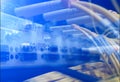 Close up fiber optic in server room , network cables installed in the rack. Royalty Free Stock Photo
