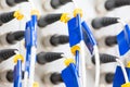 Close up fiber optic in server room , network cables installed in the rack Abstract image for use as a background Royalty Free Stock Photo