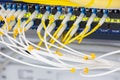 Close up fiber optic in server room , network cables installed in the rack Abstract image for use as a background Royalty Free Stock Photo