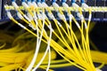 Close up fiber optic in server room , network cables installed in the rack Abstract image for use as a background Royalty Free Stock Photo