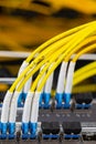 Close up fiber optic in server room , network cables installed in the rack Abstract image for use as a background Royalty Free Stock Photo