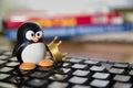 Close-up of a figure of Tux, symbol of Linux Free Software Royalty Free Stock Photo