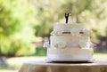 Close-up of figurine couple on wedding cake Royalty Free Stock Photo