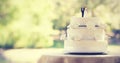 Close-up of figurine couple on wedding cake Royalty Free Stock Photo