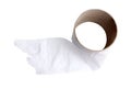 Close-up of finished toilet paper roll on white background. Royalty Free Stock Photo