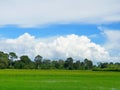 Close up of fire with candle.Green cornfield with blue sky and clouds in the morning at Thailand. Royalty Free Stock Photo