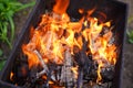 Close up of fire on chargrill. Dry sticks smoulder. Concept of cooking on grill Royalty Free Stock Photo