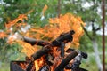 Close up of fire on chargrill. Dry sticks smoulder. Royalty Free Stock Photo