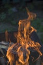 Close-up of fire and flames on a blurred natural background Royalty Free Stock Photo