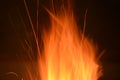 Close up of fire and flames centered on a black background.