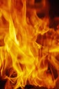 Close up fire flamme background as symbol of hell and eternal pain. Vertical image