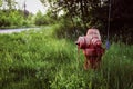 close-up of a fire hydrant in tall grass. rural setting water supply and resources design element Royalty Free Stock Photo