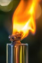 close-up of a fire from a lighter. selective focus Royalty Free Stock Photo