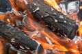Close-up fire on logs in a campfire. Selective focus on the center of the frame.