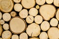 Close up of a Firewood Wall Royalty Free Stock Photo