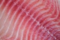 Close up of fish fillet - Fresh raw tilapia fish texture background Royalty Free Stock Photo