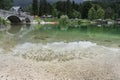 Close up of fish squalius, lake bohinj, slovenia