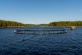 Close up of a fish tank of a salmon farm in the Bothnian Bay of Finland in the northern Baltic Sea