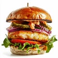 Close up of fishburger isolated on white. Royalty Free Stock Photo
