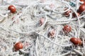 Close-up of fishing net with red floats