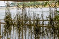 Close-up of fishing nets drying by the river Royalty Free Stock Photo