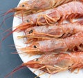 Close up of five giant prawns, in a white plate, on a slate table..Tasty food from italian cuisine and mediterranean sea. Concept