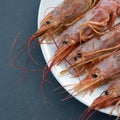 Close up of five giant prawns, in a white plate, on a slate table..Tasty food from italian cuisine and mediterranean sea. Concept