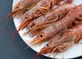 Close up of five giant prawns, in a white plate, on a slate table..Tasty food from italian cuisine and mediterranean sea. Concept