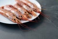 Close up of five giant prawns, in a white plate, on a slate table..Tasty food from italian cuisine and mediterranean sea. Concept