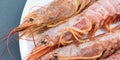 Close up of five giant prawns, in a white plate, on a slate table..Tasty food from italian cuisine and mediterranean sea. Concept