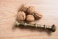Close up of five nuts and a nutcracker steel bar Royalty Free Stock Photo