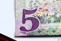 Close up of five saudi riyal banknote.