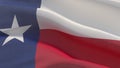 Flags of the states of USA. State of Texas flag. 3D illustration. Royalty Free Stock Photo