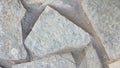 Close-up of flagstone laid on cement mortar