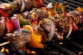 Close-up of a flavorful and spicy Churrasco marinade being brushed onto a skewer of beef and vegetables