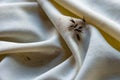 Close up flies on dirty tablecloth by food. Royalty Free Stock Photo