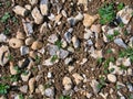 A close up of flints and flint nodules in the superficial deposits of clay with flints in farmland