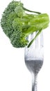 Close up of floret broccoli on fork