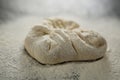 Close up of flour on kneaded dough Royalty Free Stock Photo