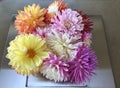 Close up Flower arrangement of an Assortment of Dahlias sitting on a metal plate