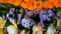 Close up of flower arrangements for decoration Royalty Free Stock Photo