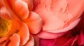 a close up of a flower with a pink and orange flower in the middle of the petals and a yellow flower in the middle of the petals Royalty Free Stock Photo