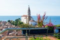 Close-up of a flower pot with St. George`s Parish Church and the Adriatic Sea at the background, in Piran, Slovenia Royalty Free Stock Photo