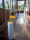 Close up of a flower vase with a yellow flower at indoor view of hall with a wooden floor, in Kyoto, Japan