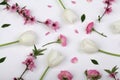 Close-up of flowers. Flat lay backdrop, calmness, women day concept.