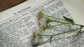 Close Up of Flowers on a Bible