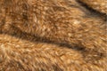 Close-up of a fluffy dark brown faux fur fabric with a background texture Royalty Free Stock Photo