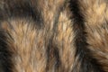 Close-up of a fluffy dark brown faux fur fabric with a background texture Royalty Free Stock Photo