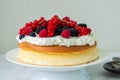 Close up of fluffy Japaniese cheesecake with wipped cream cheese Royalty Free Stock Photo